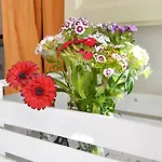Frühstückspension Ai Vicere 4*